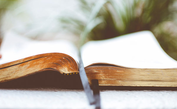 Livre ouvert Livre ouvert